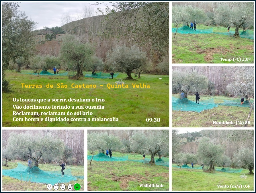 Sobre Nós Sobre Nós