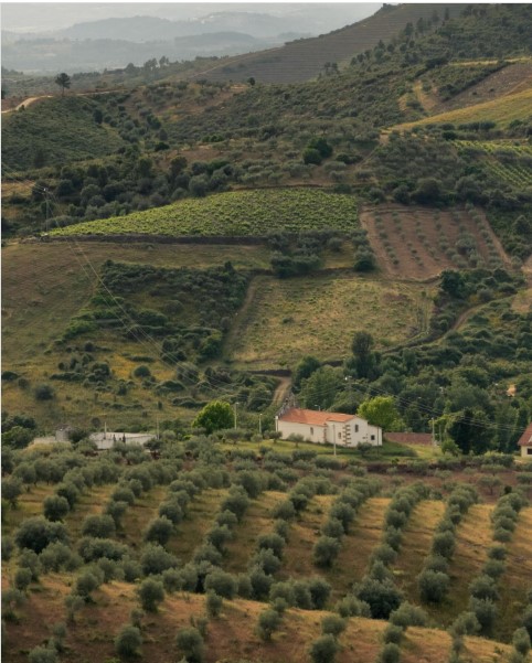 Sobre Nós Sobre Nós